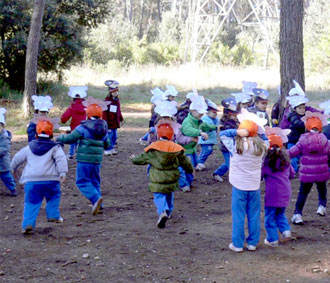 L'avi Josep i el bosc de Bonvilar